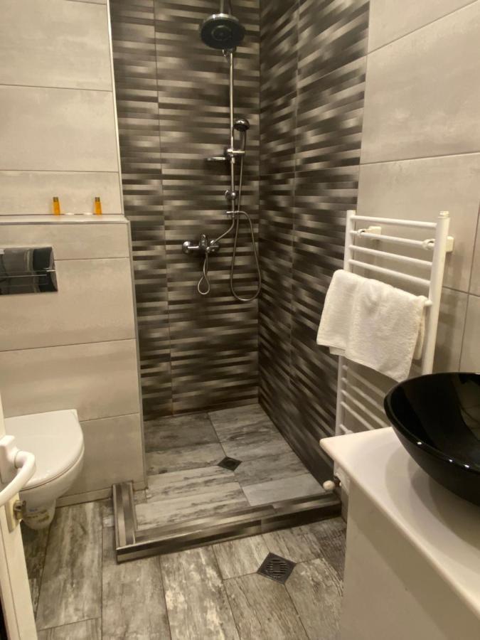 Family Hotel Zdravets Софія Екстер'єр фото